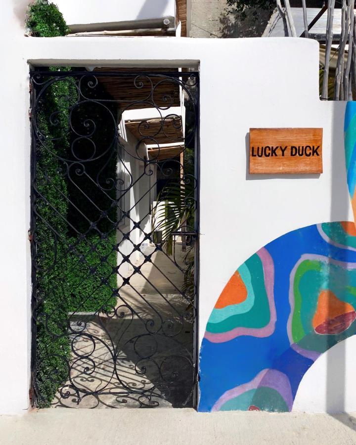 Lucky Duck Pj Hotel Cancun Bagian luar foto