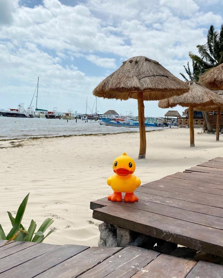 Lucky Duck Pj Hotel Cancun Bagian luar foto