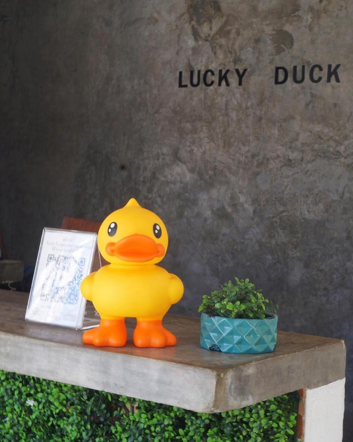 Lucky Duck Pj Hotel Cancun Bagian luar foto